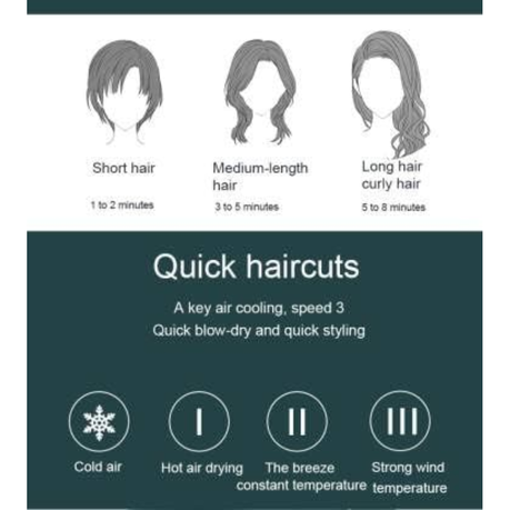 High-Power Professional Ionic Hair Dryer - 2200W/6000W,