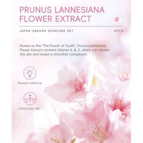 6-Piece Japan Sakura Skin Care Gift Set