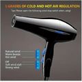 Professional Hair Dryer