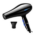 Professional Hair Dryer
