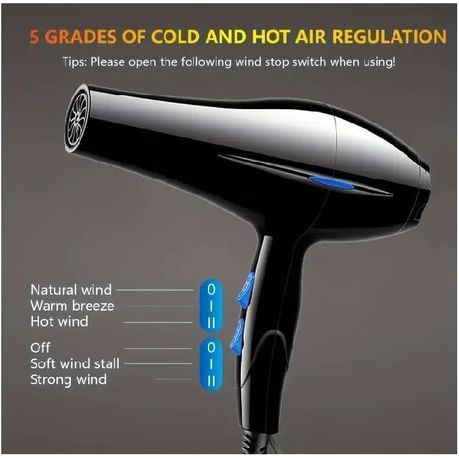 Professional Hair Dryer