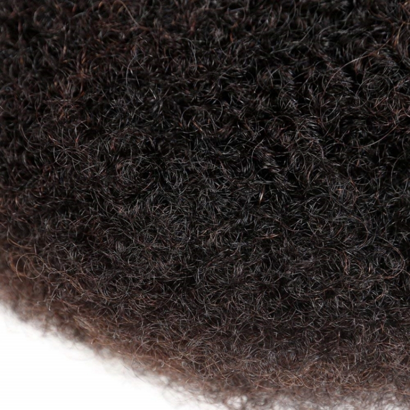 Afro Kinky Bulk Vietnamese Remy Hair Bundles 100% Unprocessed Raw Virgin Hair Extensions Make Locks Dread Human for Braiding