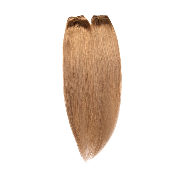Factory Wholesale Vietnamese Remy Hair Clip-in Extensions 12-26 Inch Women Salon Use Natural Light Colors Machine Double Weft